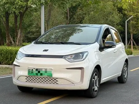 JAC (Sihao) 花仙子 2021