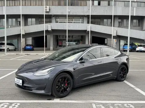 Tesla Model 3 2019