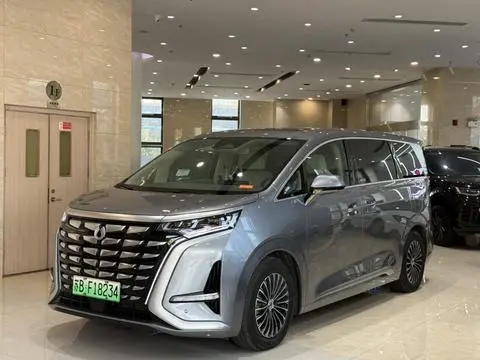 Denza D9 DM 2022