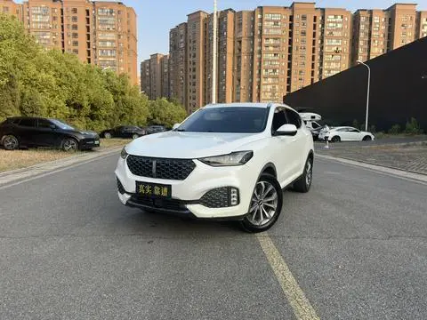 Wey VV6 2020