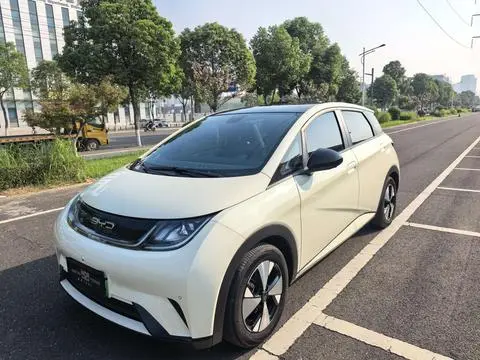 BYD Dolphin 2024