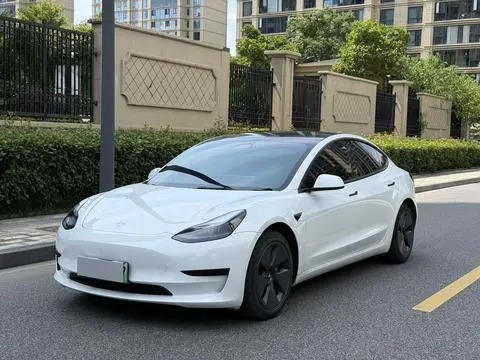 Tesla Model 3 2021 — фото 1