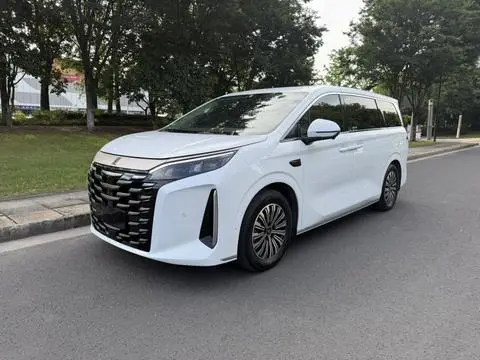 BYD 夏 2025