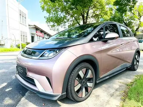 BYD Dolphin 2021