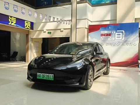 Tesla Model 3 2022