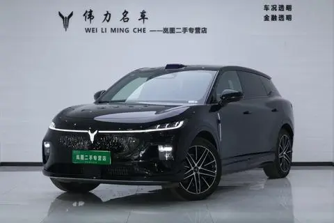Voyah 知音 2025