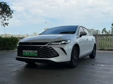 BYD 秦PLUS DM 2025