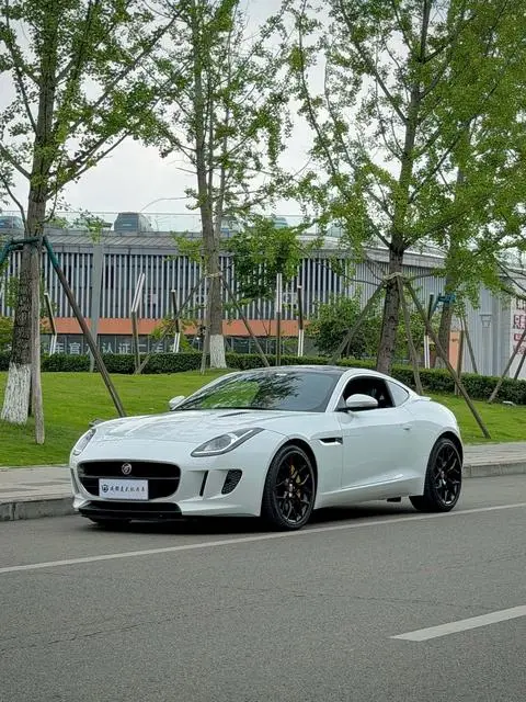 Jaguar F-TYPE 2015 — фото 1
