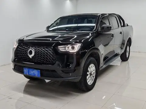 Great Wall 炮 2019