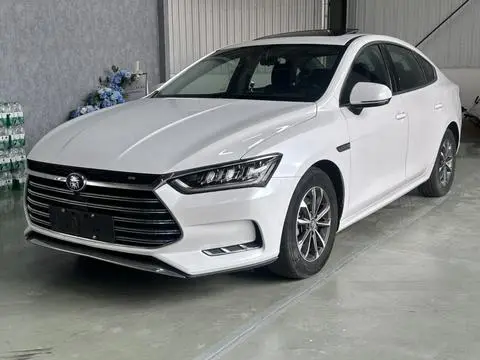BYD 秦Pro DM 2019