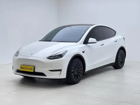 Tesla Model Y 2021 — фото 1