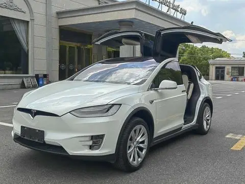 Tesla Model X 2019