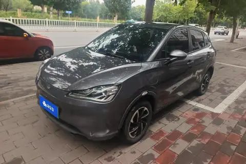 NETA V 2021