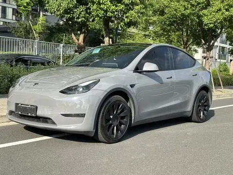 Tesla Model Y 2021 — фото 1