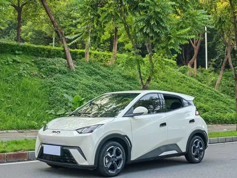 BYD Seagull 2024