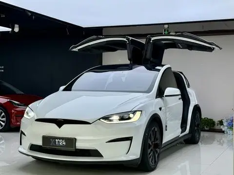 Tesla Model X 2023