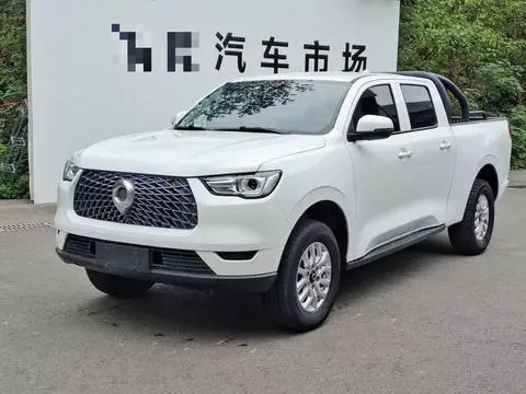 Great Wall 炮 2019