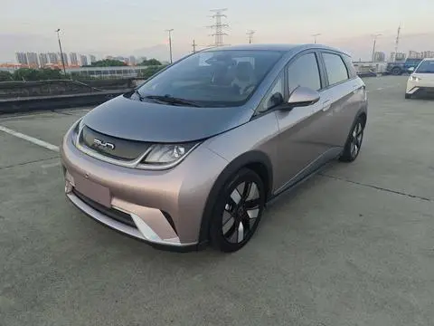 BYD Dolphin 2021