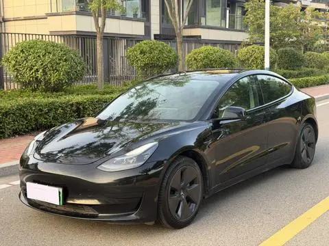 Tesla Model 3 2021 — фото 1