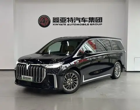 Voyah 梦想家 PHEV 2024
