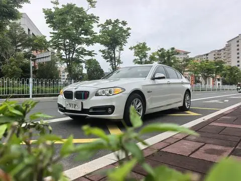 BMW 5 Series 2014