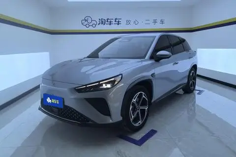 NETA L 2024