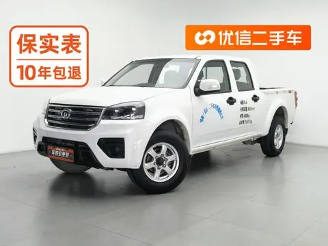 Great Wall 风骏5 2020