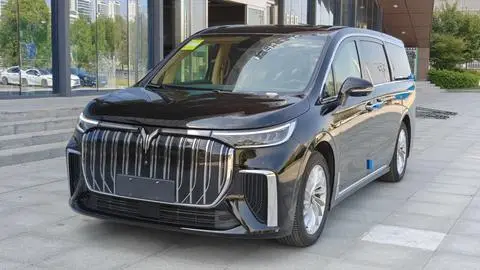 Voyah 梦想家 EV 2024