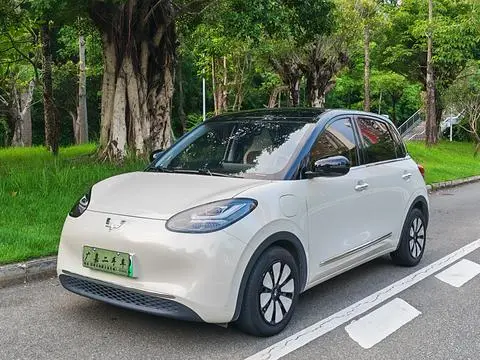 Wuling Bingo 2024