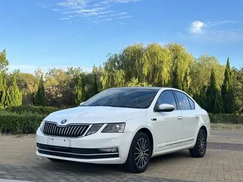 Skoda 明锐 2019 — фото 1