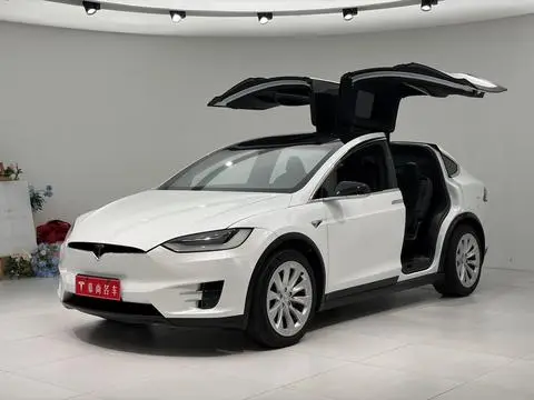 Tesla Model X 2019