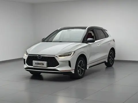 BYD e2 2021