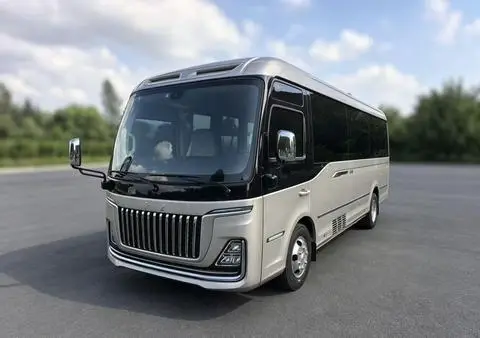 Hongqi 金葵花国悦 2024