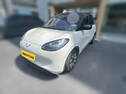 Wuling Bingo 2024