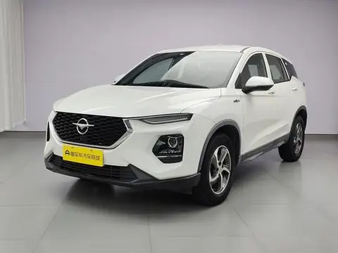 HAIMA 8S 2019