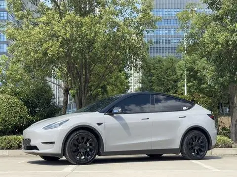 Tesla Model Y 2021 — фото 1