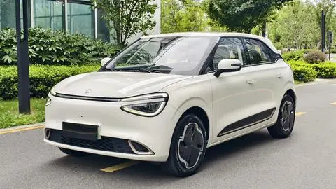 Dongfeng 纳米01 2024
