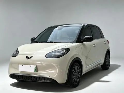 Wuling Bingo 2023