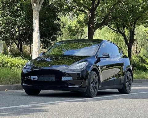 Tesla Model Y 2023 — фото 1