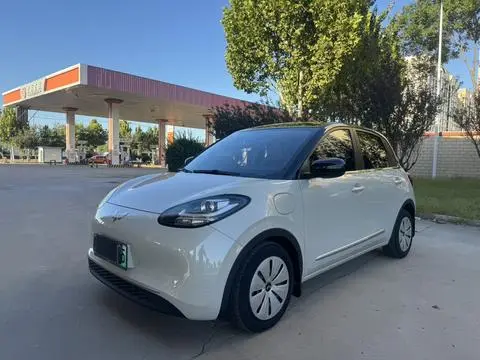 Wuling Bingo 2023
