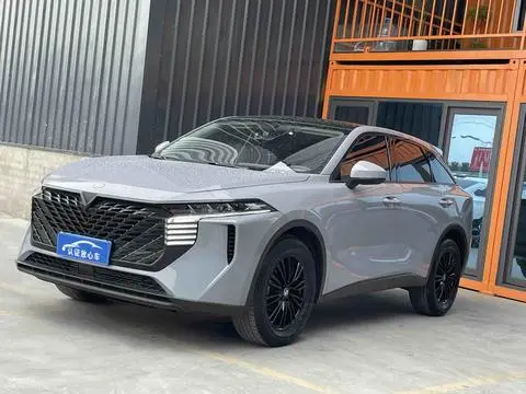 Venucia 大V 2022