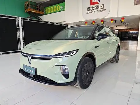 Voyah 知音 2024
