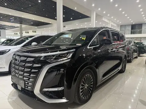 Denza D9 DM 2022