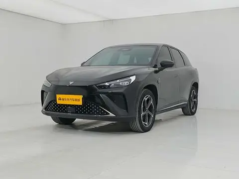 NETA L 2024