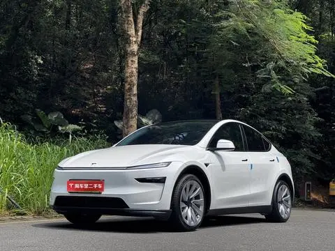 Tesla Model Y 2025 — фото 1
