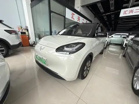 Wuling Bingo 2024
