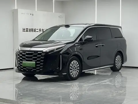 BYD 夏 2025