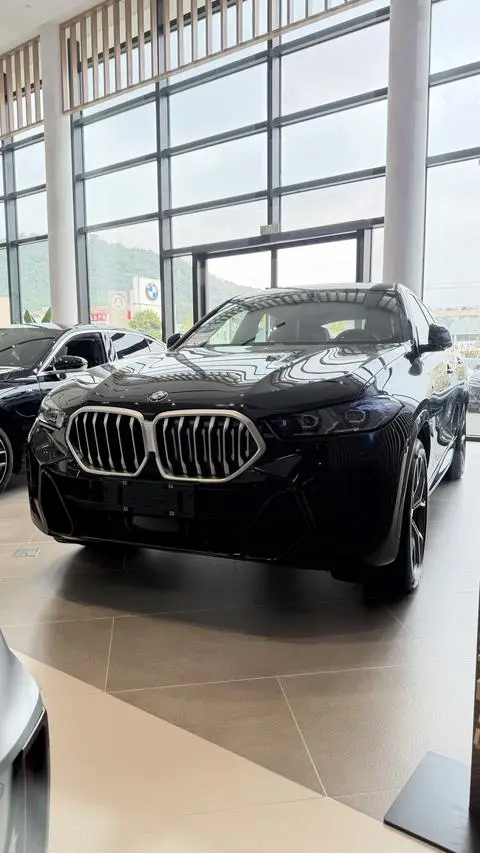 BMW X6 2023