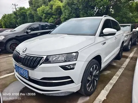 Skoda 柯珞克 2024