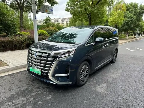 Denza D9 DM 2022